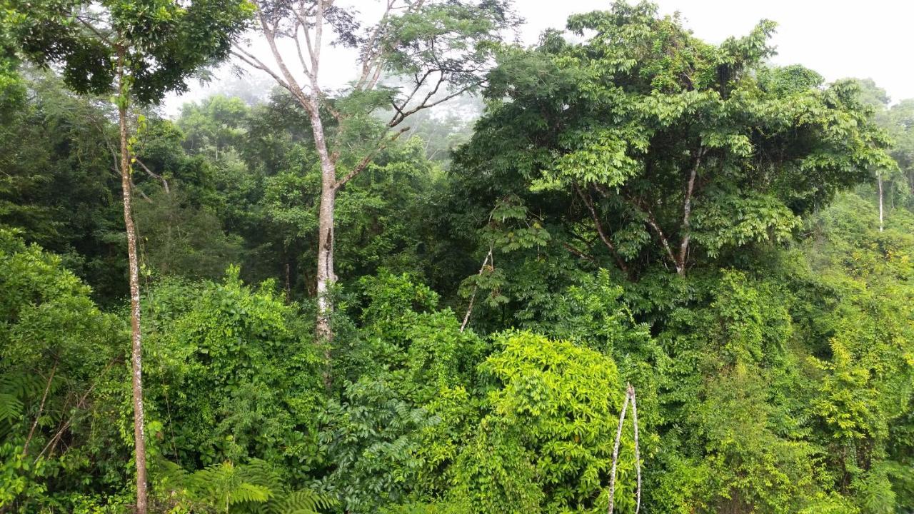 Finca Sueno De Osa ปัวร์โตคิมาเนซ ภายนอก รูปภาพ