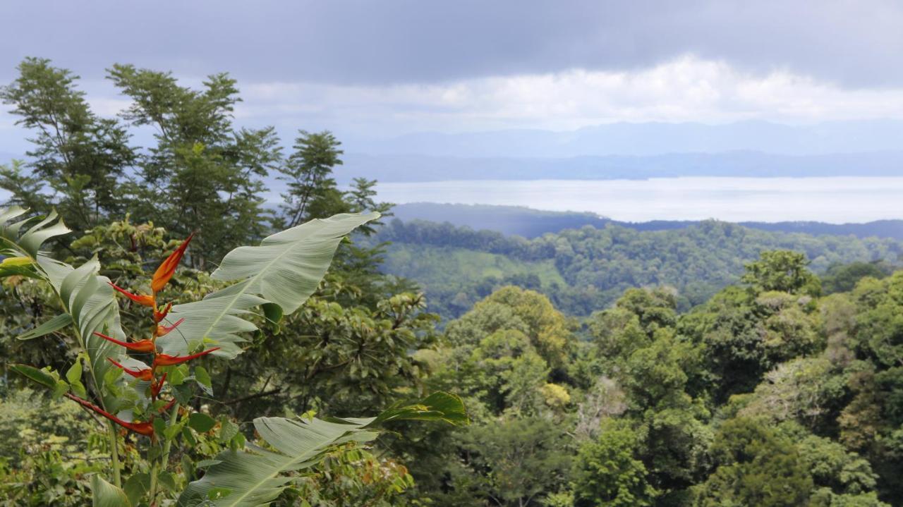 Finca Sueno De Osa ปัวร์โตคิมาเนซ ภายนอก รูปภาพ